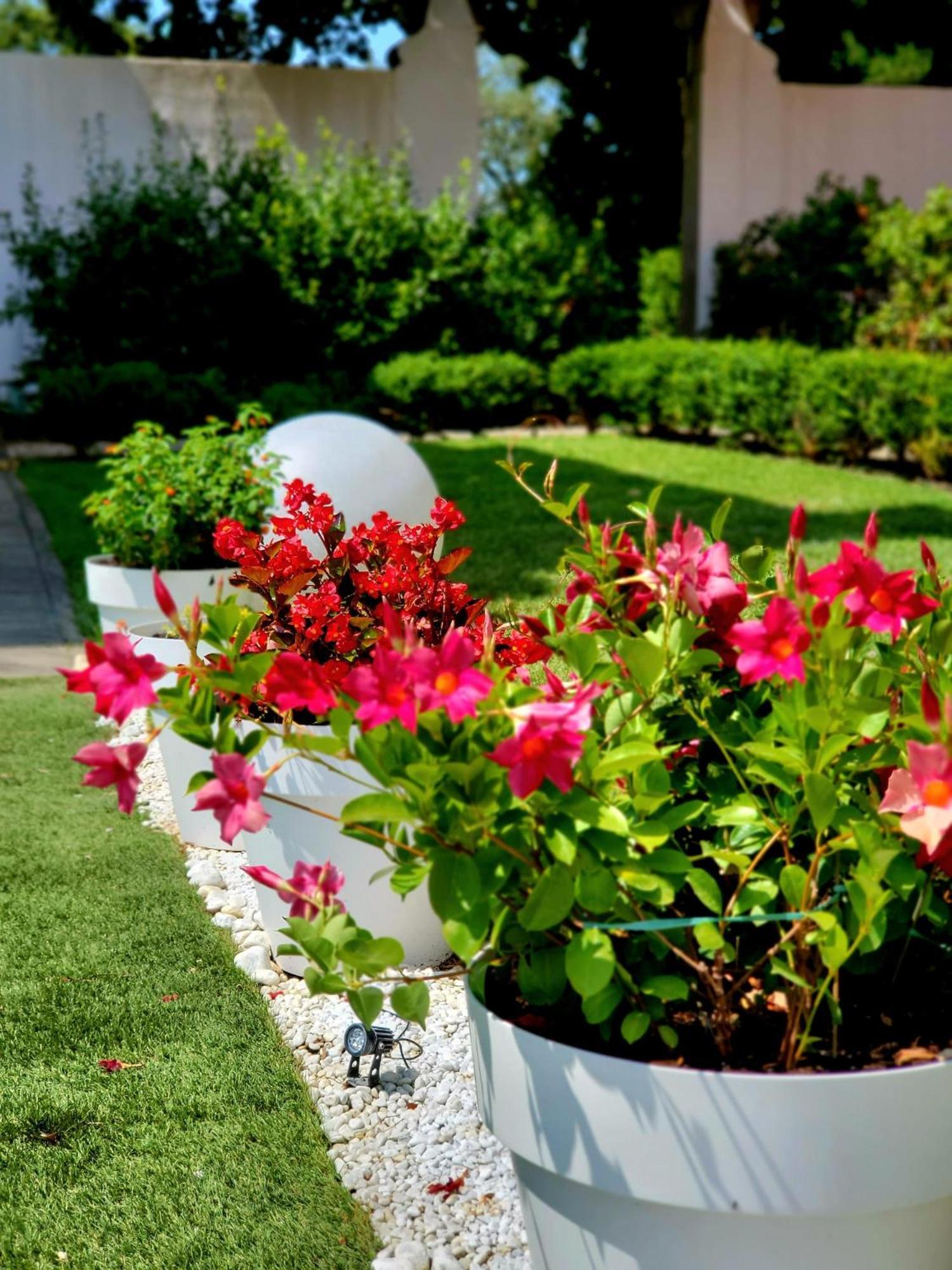 La Villa Apartments - Convenient For Sardinia And Corsica - 4 Beds - Private Parking Included With Camera 리보르노 외부 사진